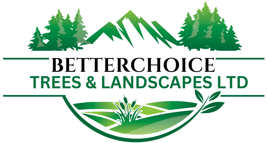 Tree Surgeon Nantwich